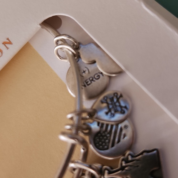 NEW Alex and Ani Disney Best Day Ever silver charm bangle bracelet - Picture 3 of 5